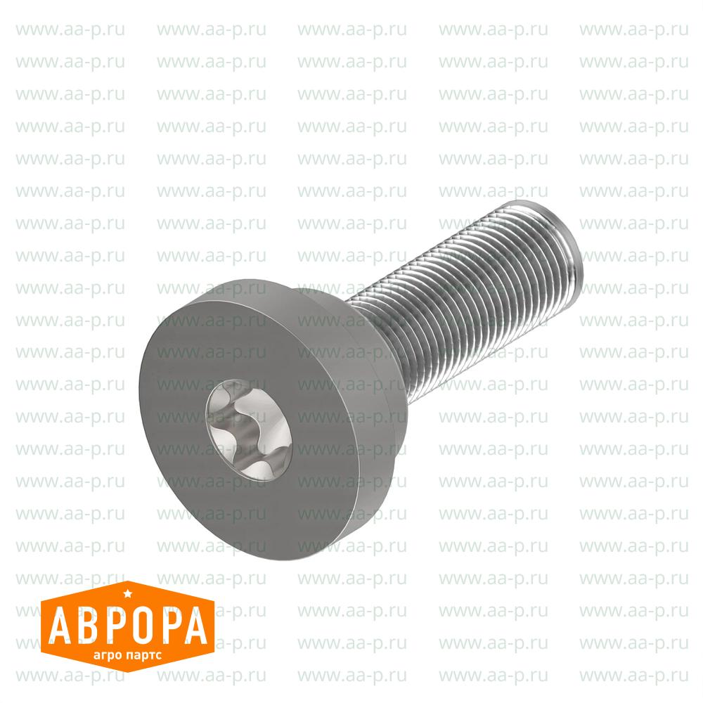 R527987 ВИНТ  С  ГОЛ.  ПТОРЦ.  КЛ.
